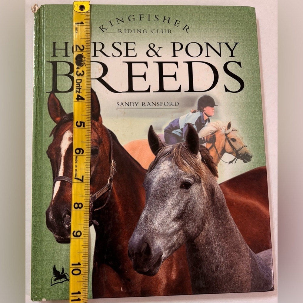 Kingfisher Riding Club Horse & Pony Breeds Book - Picture 8 of 9